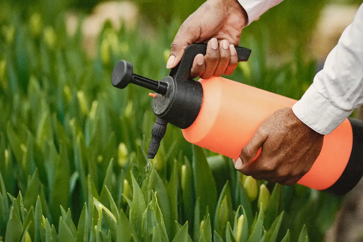 Applying diluted biodegradable cleaner for chemical-free, environmentally friendly outdoor surface cleaning
