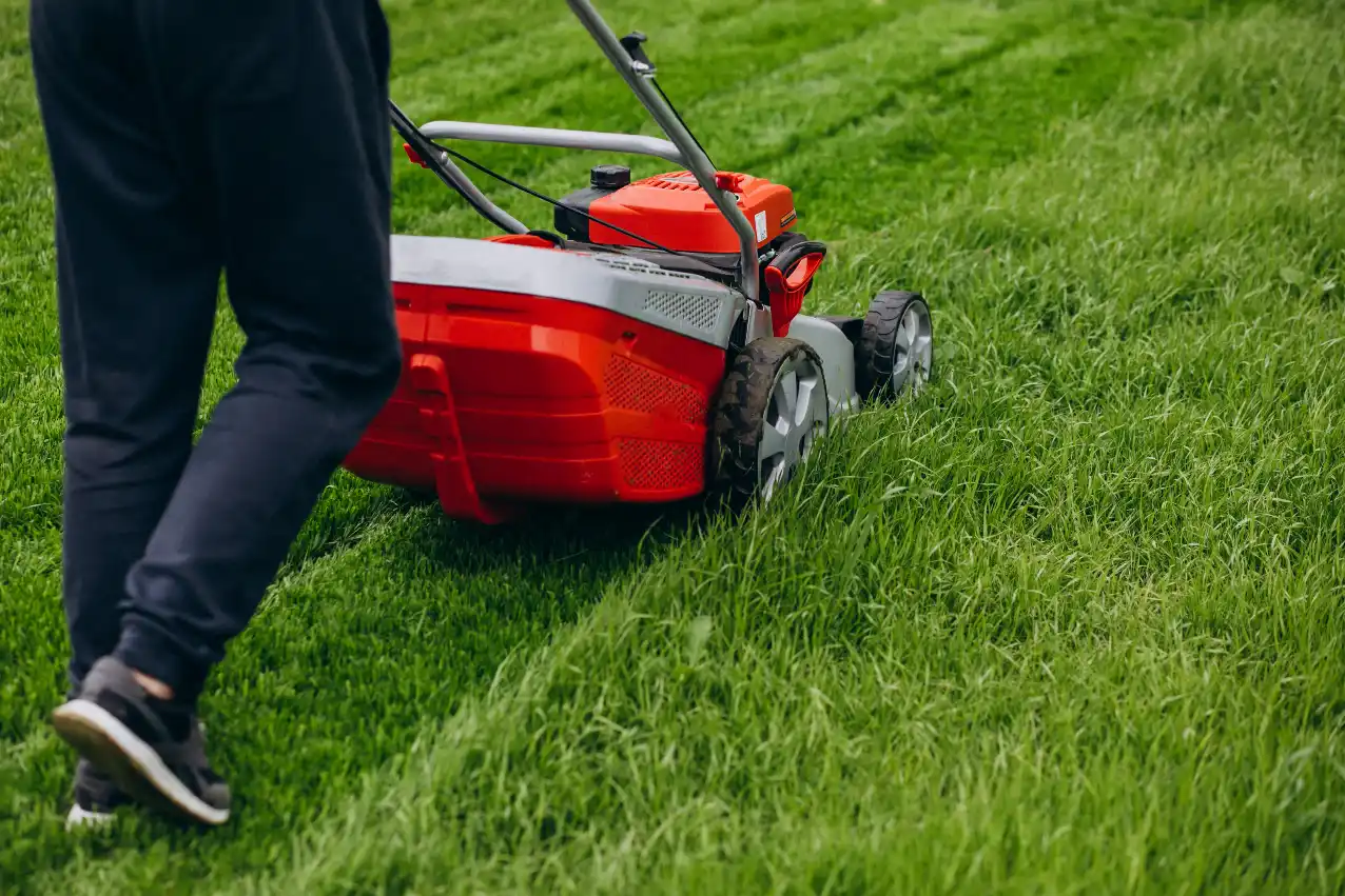 Professional pushing a lawn mower through thick green grass during a lawn mowing service in Adelaide